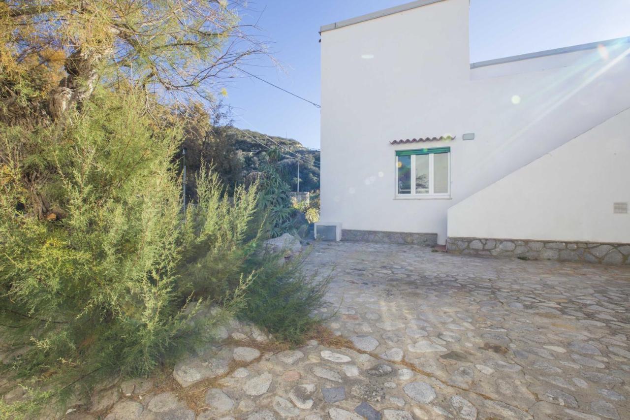 Casa Bianca - Goelba * Pomonte